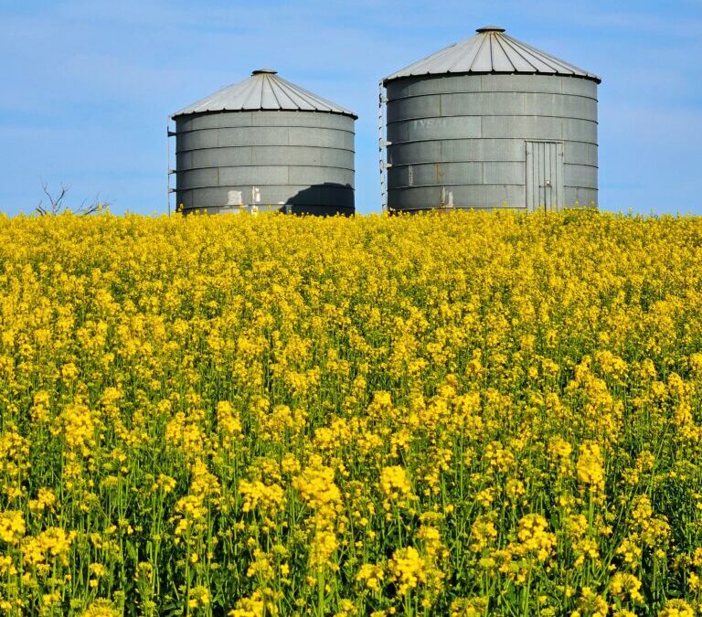 The Silos Accommodation